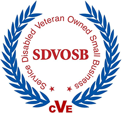 disabled-veteran-owned-badge-250x230